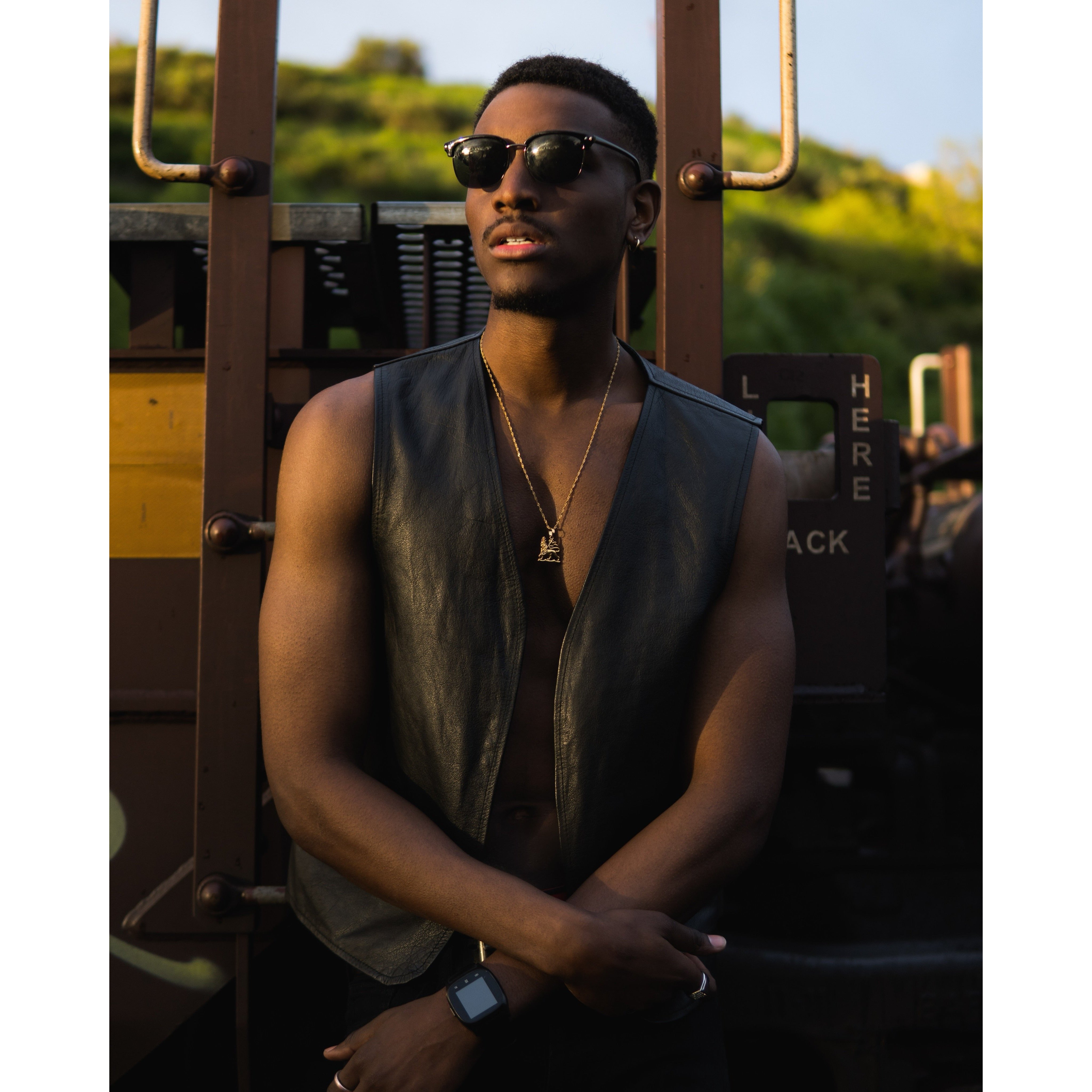 Lion Of Judah - Adanelegacy