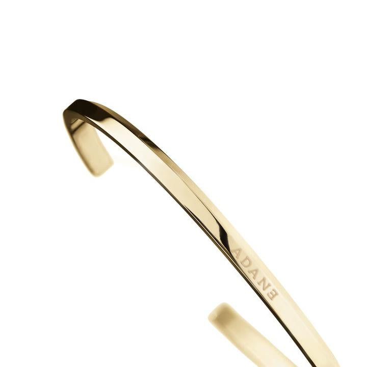 Legacy Isaiah-Gold - Adanelegacy